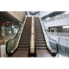 Famille Marque XIWEI Économique Indoor Types d&#39;Escalator Résidentiel